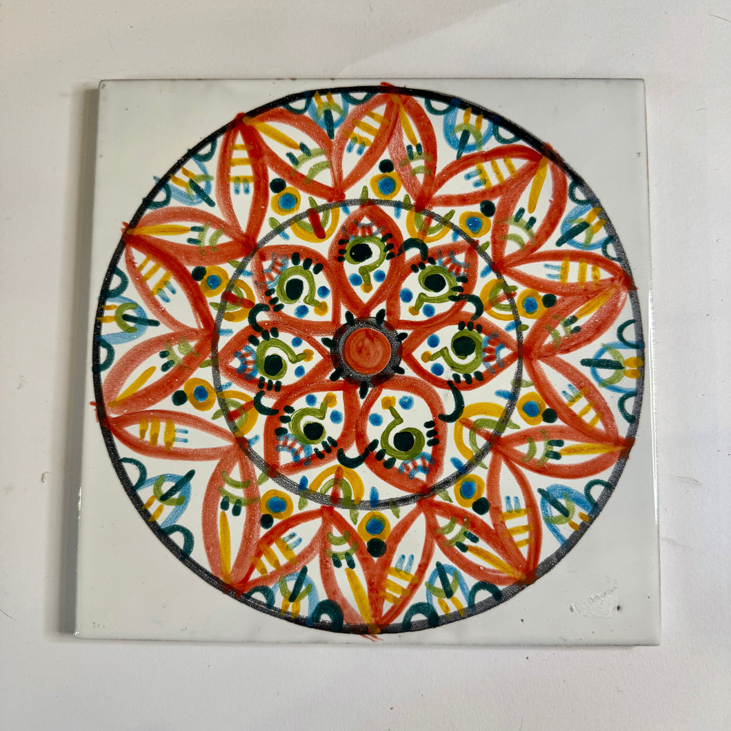 Maiolica 20x20 cm